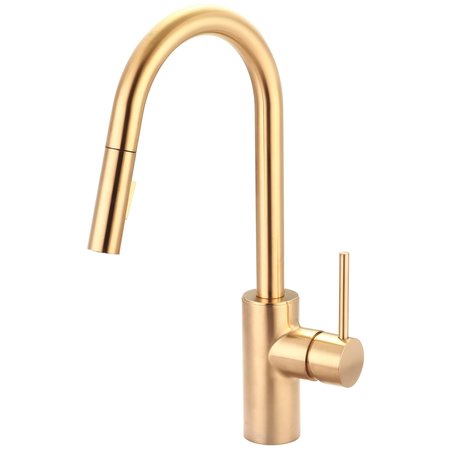 PIONEER Single Handle Pull-Down Kitchen Faucet in PVD Brushed Gold 2MT260-BG
